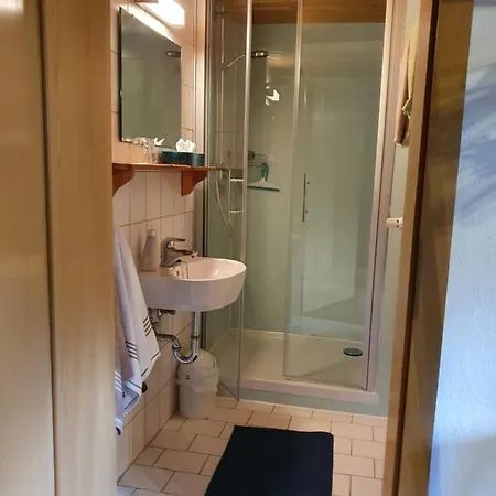 Apartment Gastehaus Linder Mittelberg