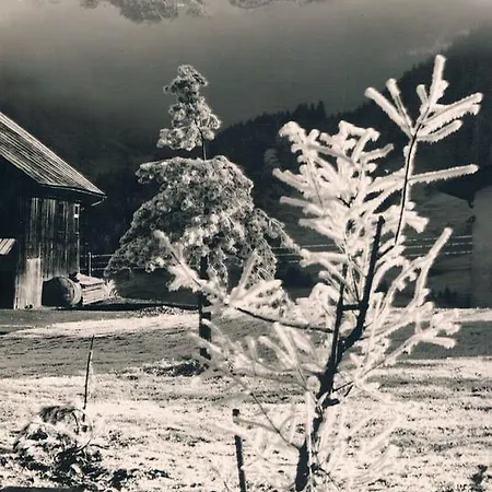 Appartement Gastehaus Linder Mittelberg